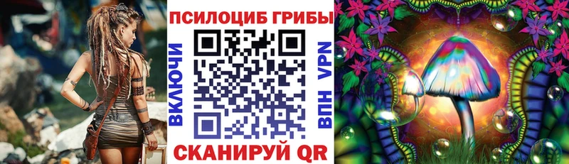 Галлюциногенные грибы Psilocybine cubensis  Купить закладки  Нерехта 